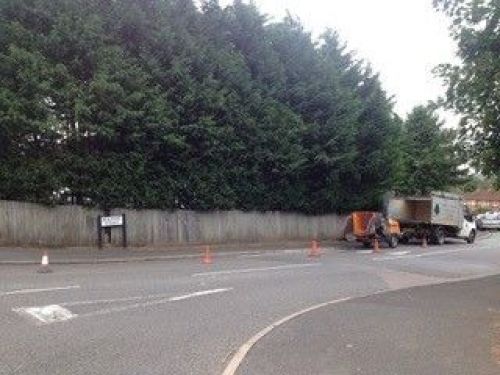 Click Here To Enlarge This Photo Of Hedge Reduction