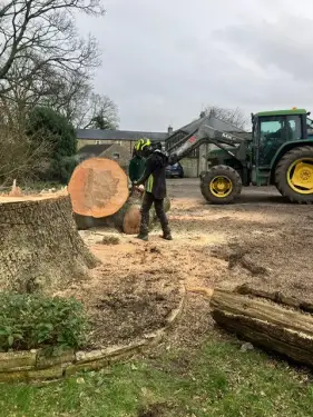 Click Here To Enlarge This Photo Of Tree Dismantling In Chesterfield