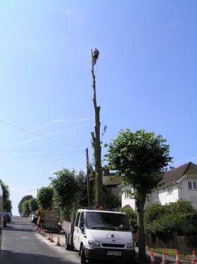 Click Here To Enlarge This Photo Of Lime Avenue, Alfreton