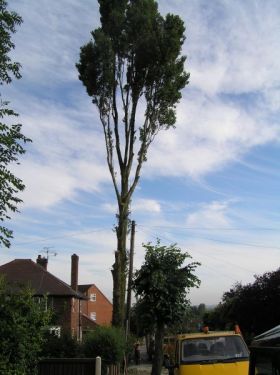 Click Here To Enlarge This Photo Of Lime Avenue, Alfreton