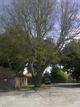 Click Here To Enlarge This Photo Of Alvaston Bowls Club